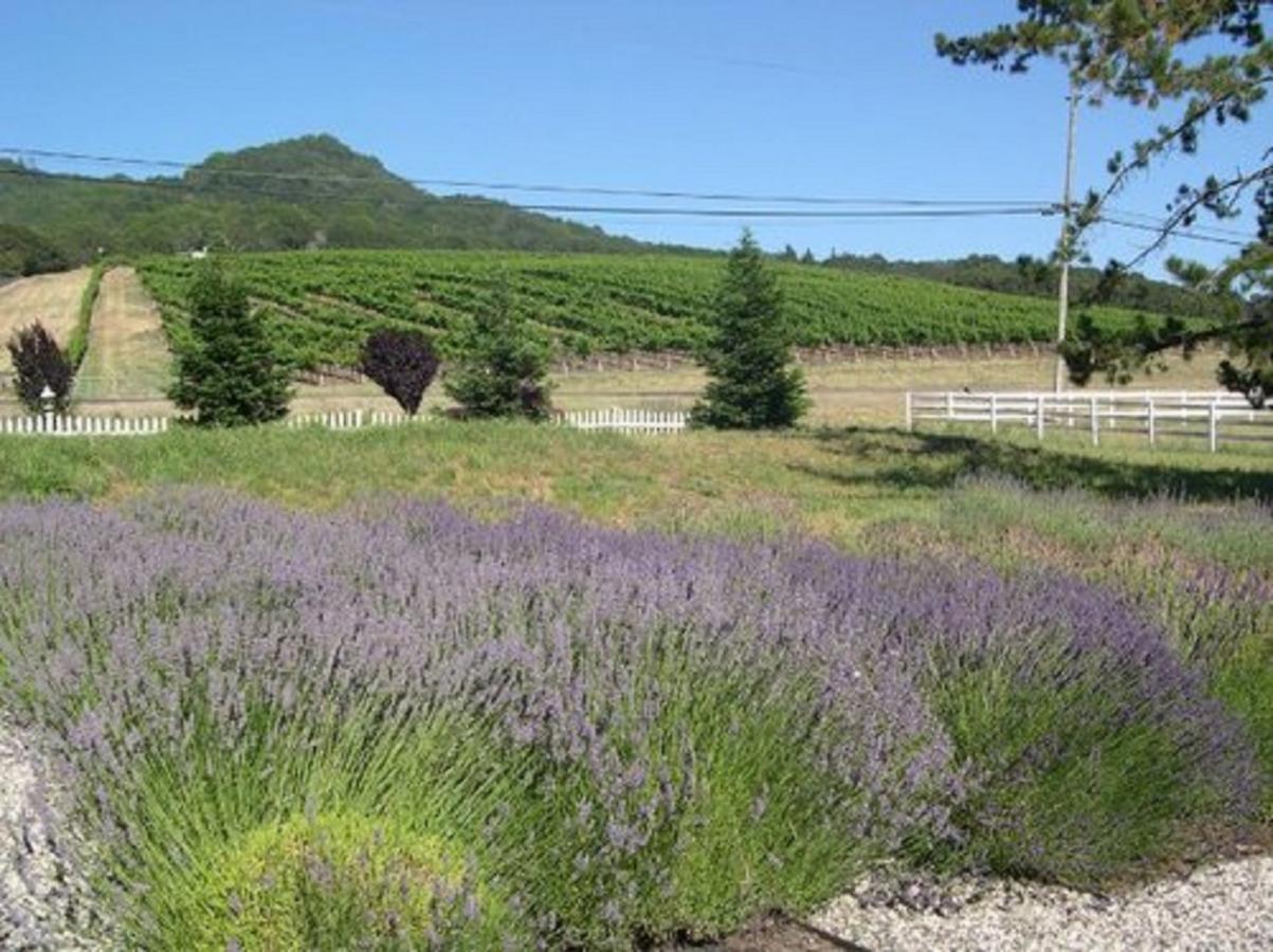The Gables Wine Country Inn Santa Rosa Dış mekan fotoğraf